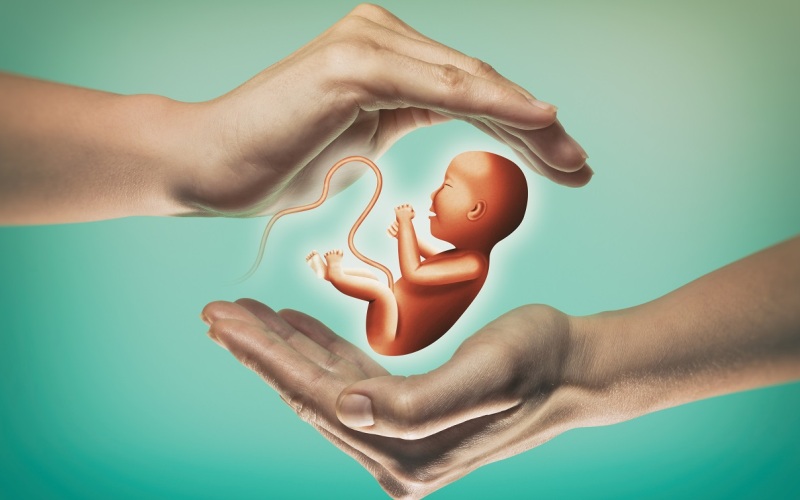 Беременность и трансплантация органов. Родила первая в мире женщина с маткой, пересаженной от мертвого донора.