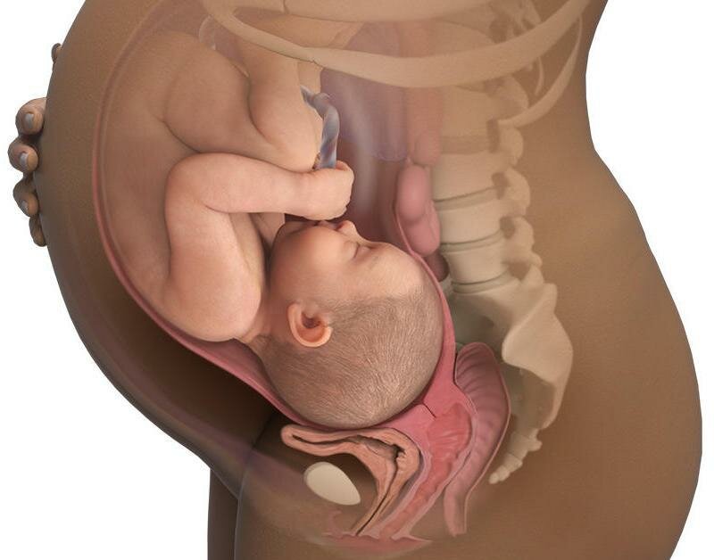Беременность, длящаяся 42 недели, может быть нормальной пролонгированной (физиологически удлиненной), но может быть и переношенной.