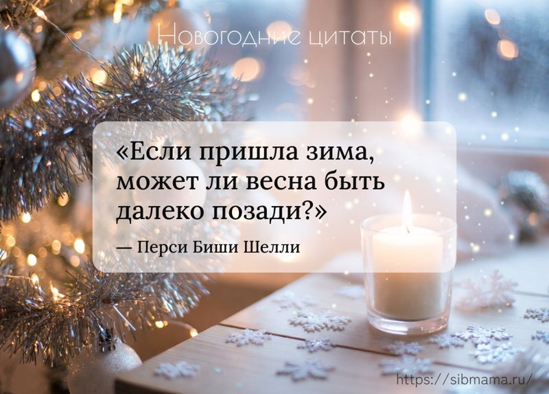 Новогодние цитаты о зиме