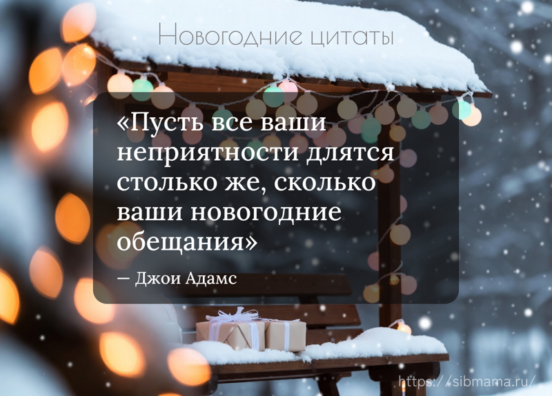 Забавные новогодние цитаты