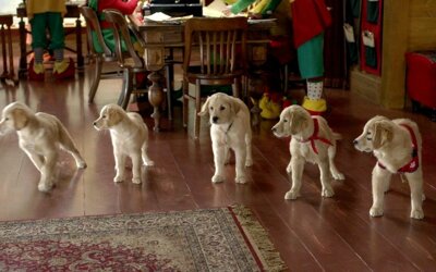 ������ ������ ���������� ������� ��� �����