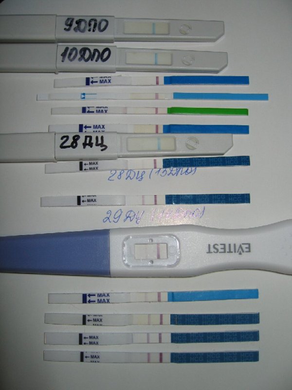 Фото теста на беременность до задержки месячных